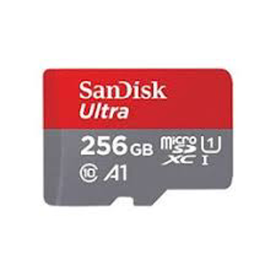 Image sur Carte Mémoire Micro SD - 256Go - Sandisk